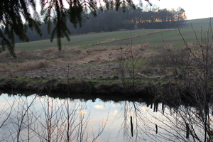 Kirsten K&ouml;tter: Foto zu D&auml;mmerung am See (Detail, Ausschnitt), Site-specific painting, See im Taunus, 04.02.2014, ca. 17.30 - 18.30, 50° N / 8 ° O, &Ouml;l auf Leinwand, 90 x 70 cm