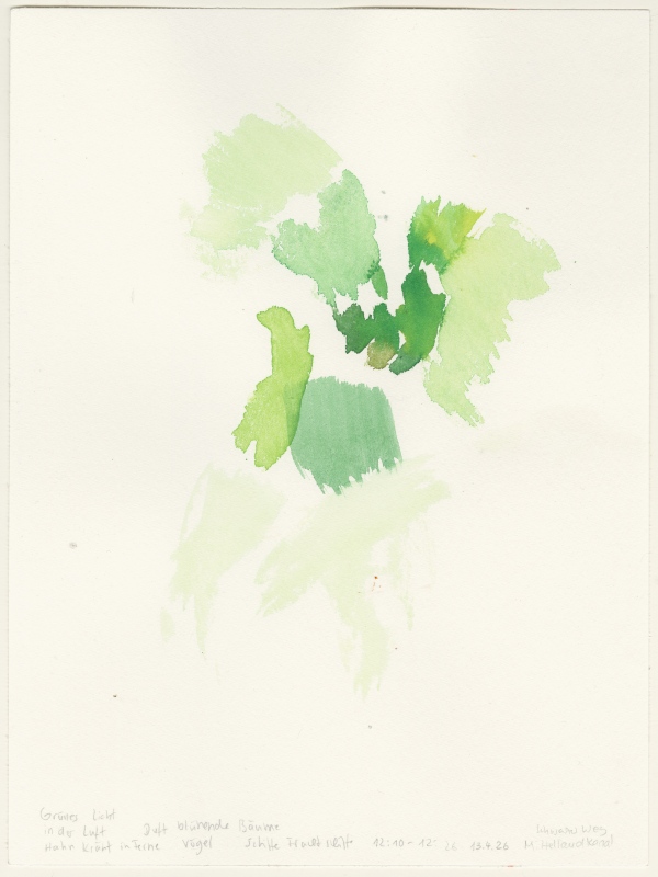 2026-04-13_gravenhorst_nsg-aa-mittellandkanal, watercolour, 32 × 24 cm (Kirsten Kötter)